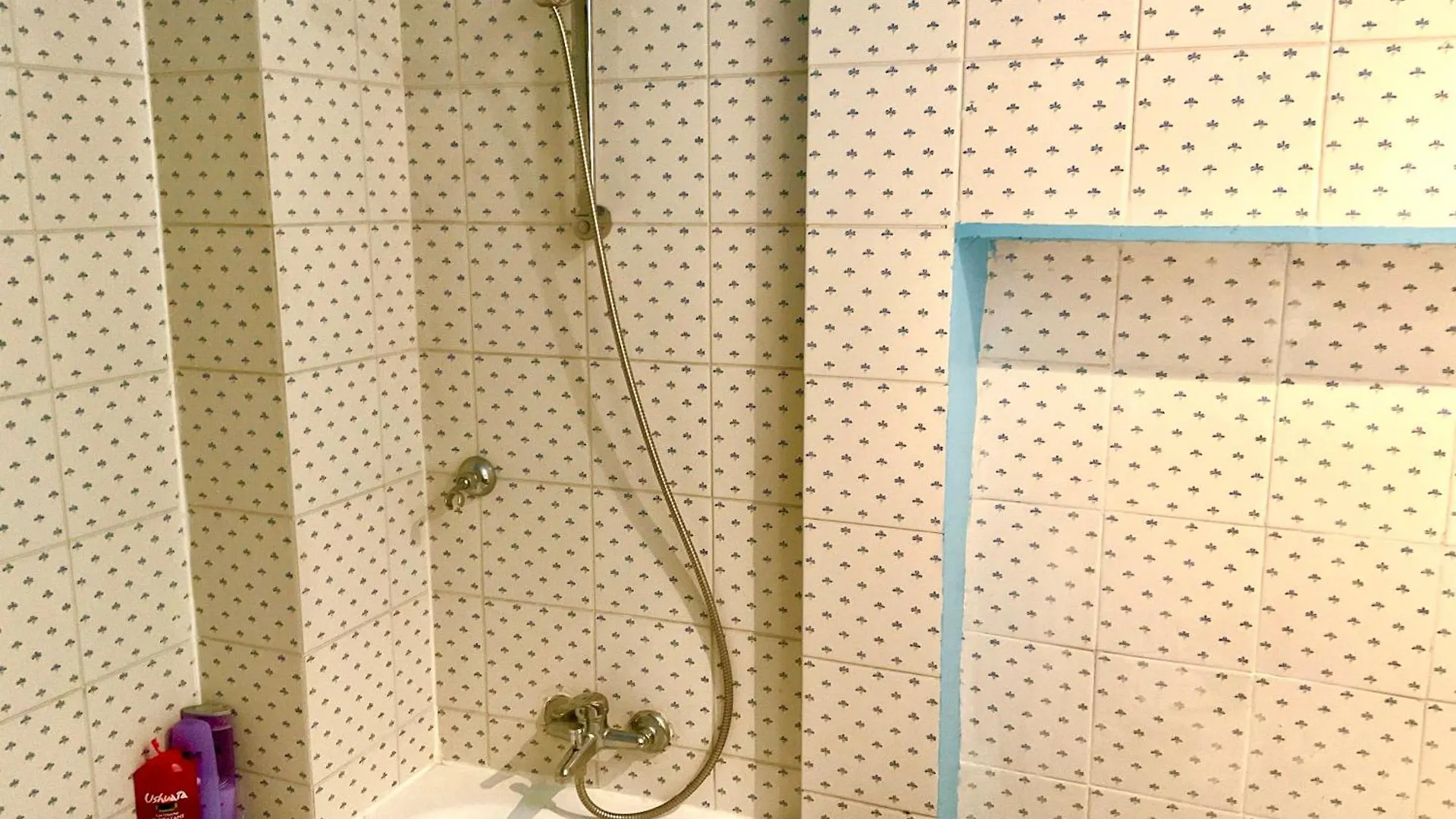 Bel Appartement Ancien Sur Cour Verdoyante Paris